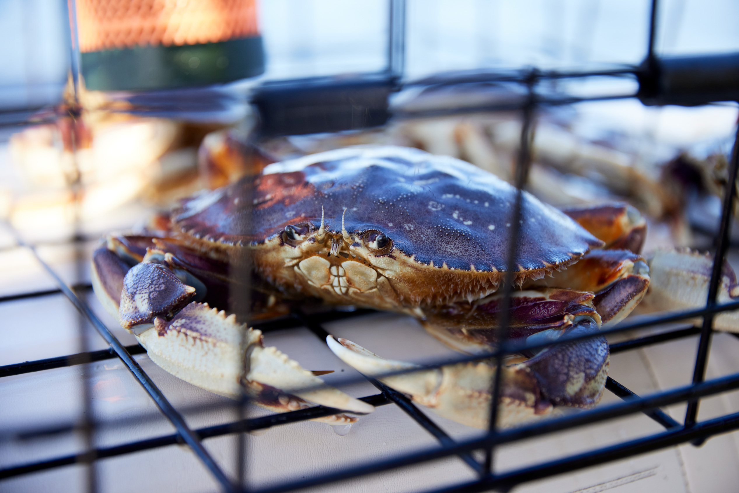 BECU-SEAHAWKS_CrabBoat-CamB_3870