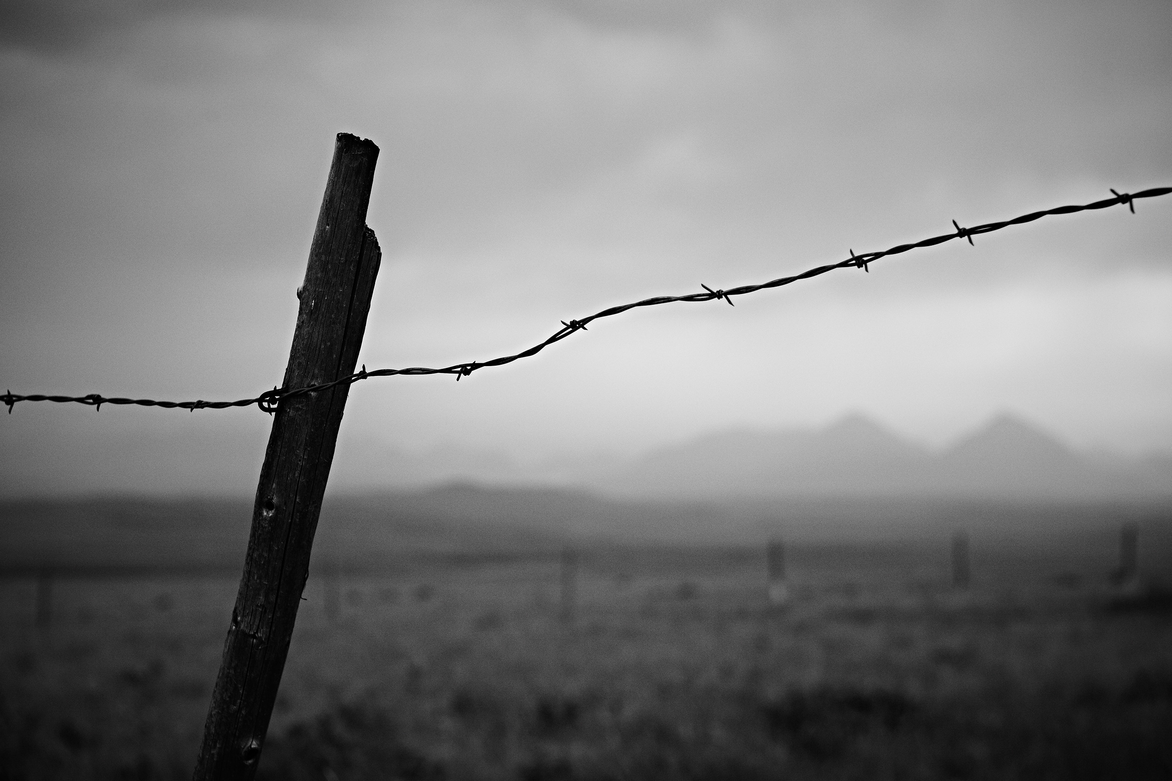 Montana