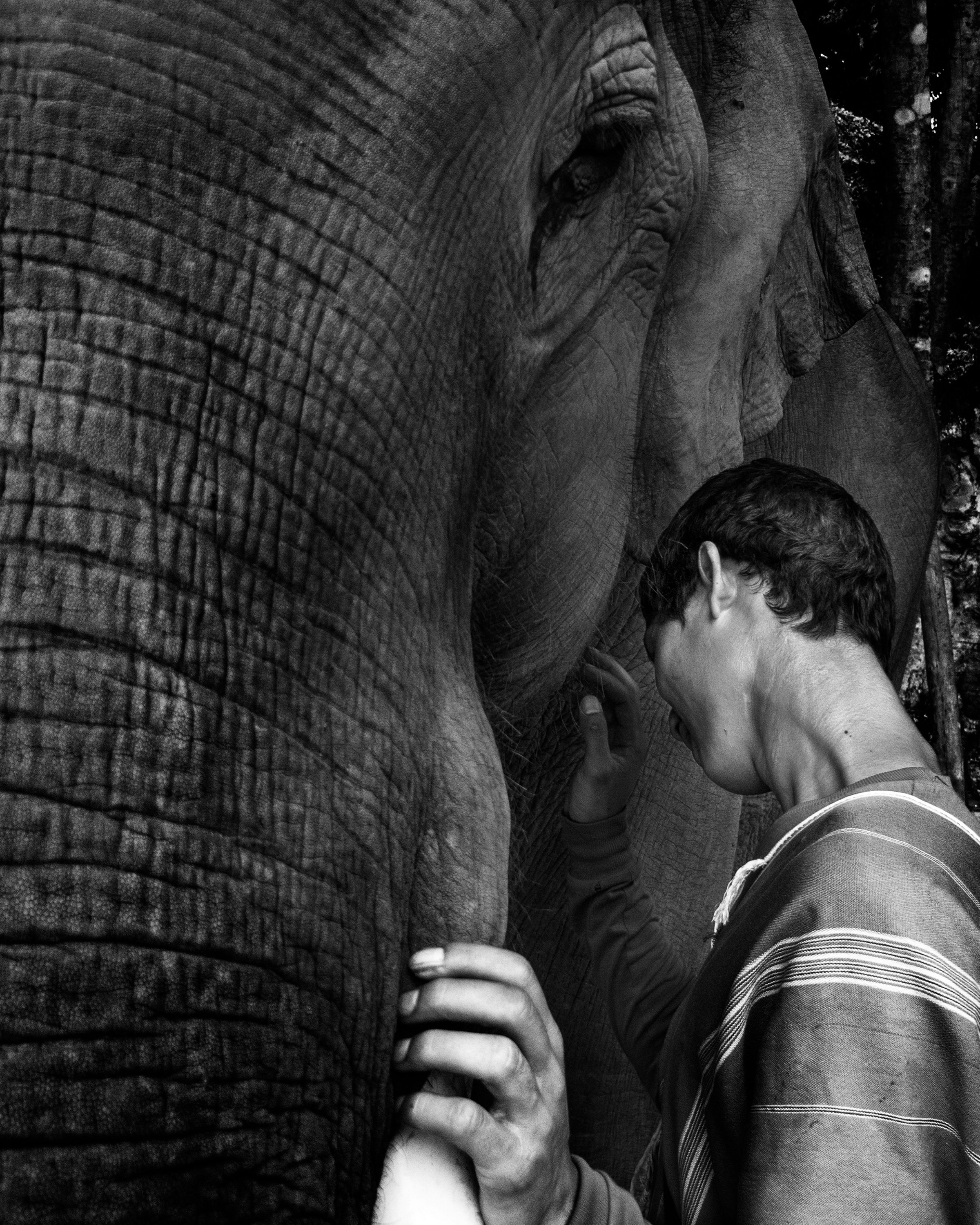 Boy and Elephant