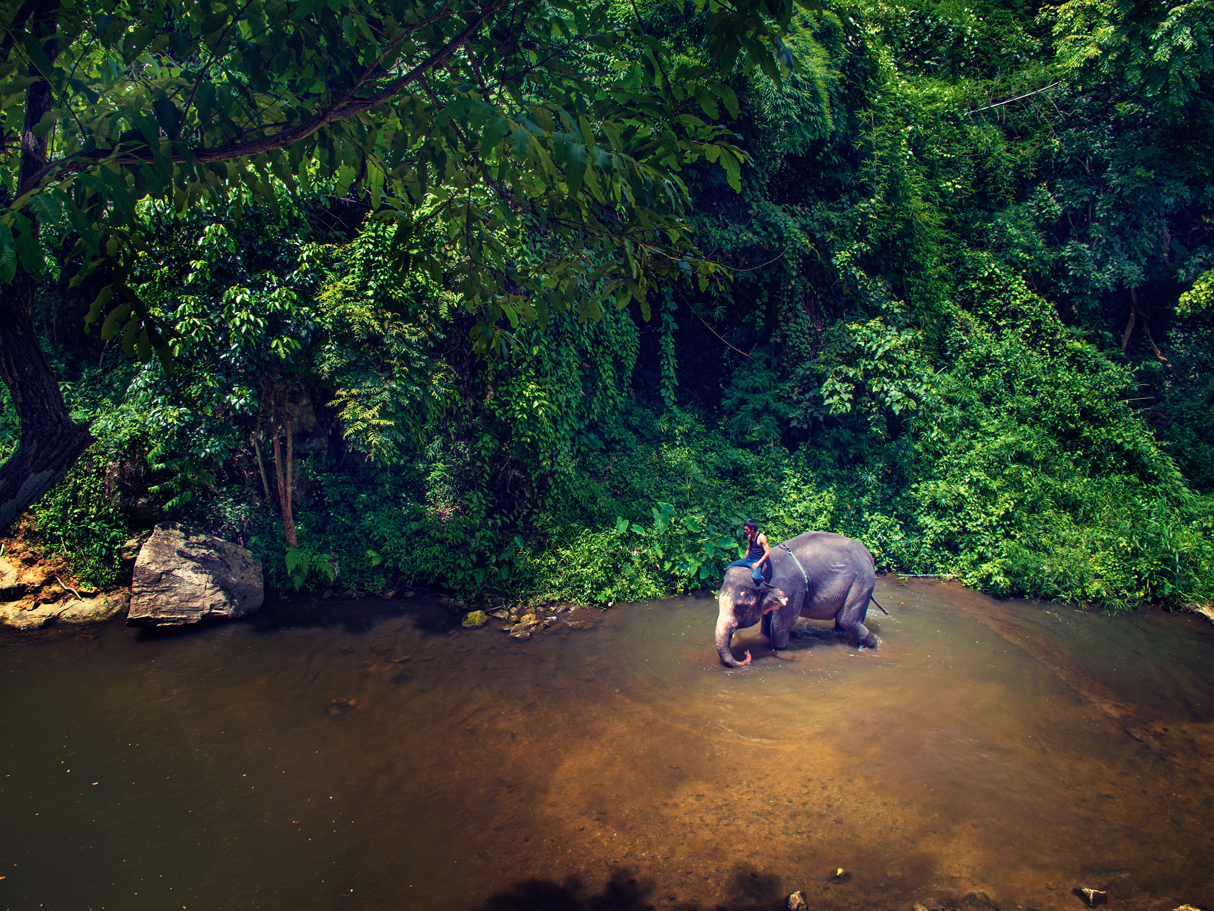 Chiang Mai, Thailand