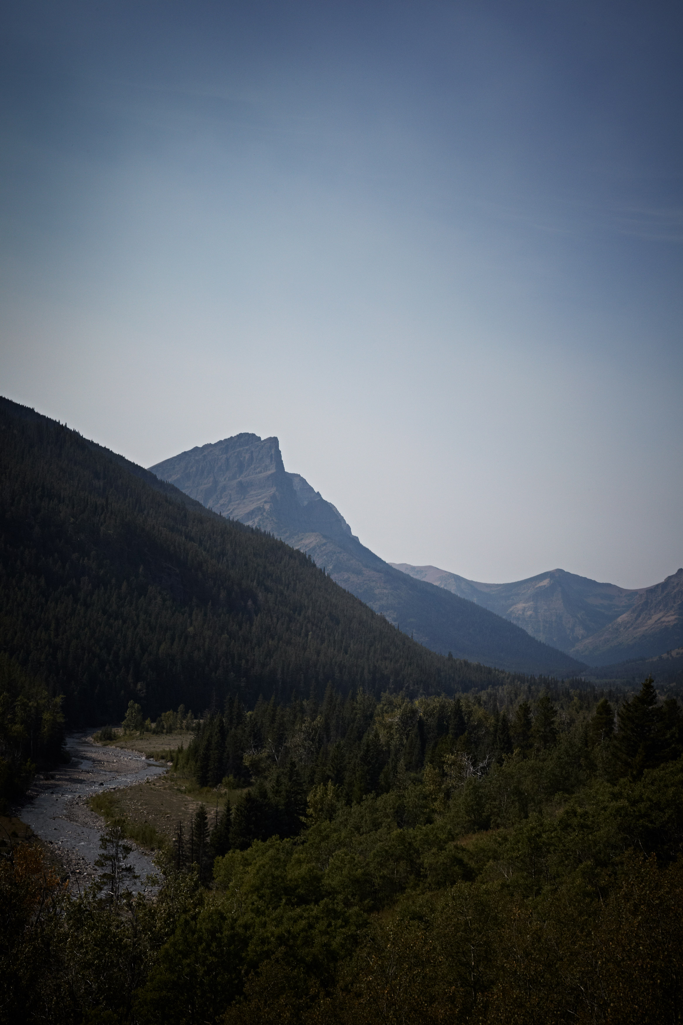 _MG_2356